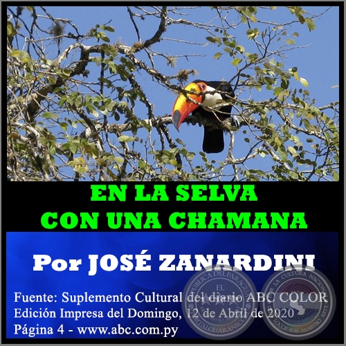 EN LA SELVA CON UNA CHAMANA - Por JOS ZANARDINI - Domingo, 12 de Abril de 2020